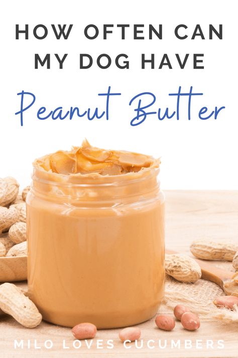 Dog Peanut Butter, Dog Homemade, Puppy Training Treats, Peanut Butter Brands, Skippy Peanut Butter, Savings Money, Peanut Butter For Dogs, Peanut Butter Dog Treats, Peanut Butter Sauce