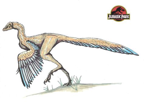 archaeopteryx | Archaeopteryx - Park Pedia - Jurassic Park, Dinosaurs, Stephen ... Raptor Dinosaur, Tier Tattoo, Jurassic Period, Water Tattoo, Dinosaur Pictures, Modern Birds, The Lost World, Jurassic Park World, Prehistoric Creatures