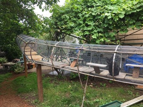 The cat's meow: Check out cat patio styles on the Catio Tour (photos, video) | OregonLive.com Cat Patios, Cat Walkway, Outdoor Cat Tunnel, Catio Ideas, Diy Cat Enclosure, Ideas For Cats, Cat Playground Outdoor, Kat Diy, Cat Patio