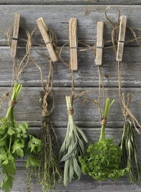 Farmhouse Style Guide Magia Das Ervas, Deco Nature, Have Inspiration, Growing Herbs, Shed Plans, Kitchen Garden, Drying Herbs, Garden Shed, Herb Garden