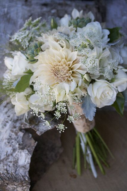 White Dahlia Bouquet, Burgundy Scabiosa, Yellow Craspedia, Wisteria White, Dahlia Bridal Bouquet, Dahlia Flower Arrangements, Champagne Spray, Dahlia Wedding Bouquets, Sons Wedding