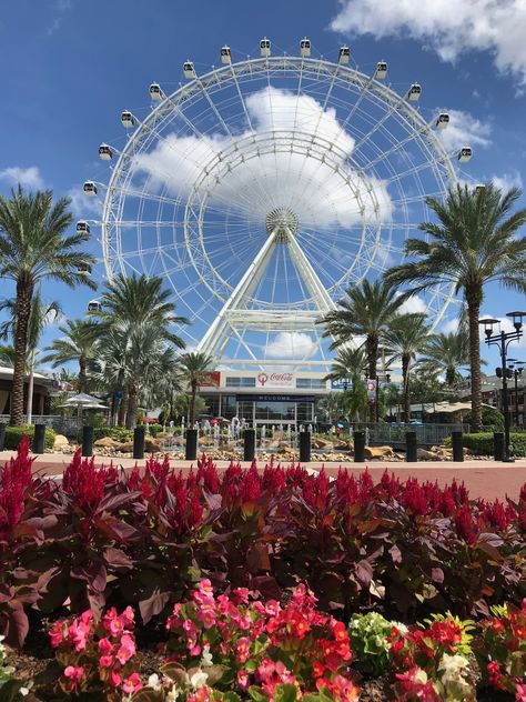 The Orlando Eye Orlando Eye, Orlando Activities, International Drive Orlando, Restaurants In Orlando, Icon Parking, Spanish Dancer, Visual Illusion, Pirate Adventure, Oceans Of The World