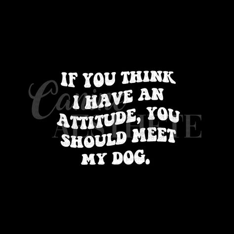 If you think I have an attitude,... - Things Dog Handlers Say Dog Attitude, Angry Dog, Dog Quotes, Dog Stuff, Attitude Quotes, My Dog, Pitbull, I Laughed, You Think