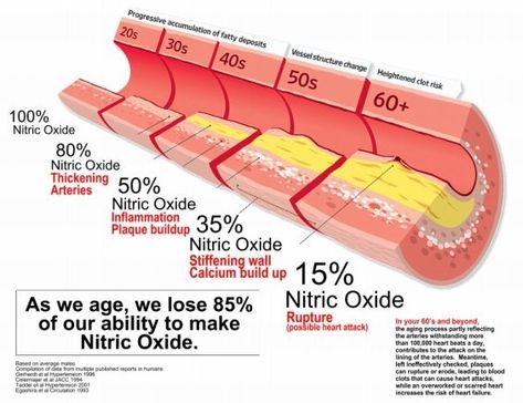 Teaching Nutrition, Nitric Oxide Supplements, Normal Heart, Protect Your Heart, L Arginine, Healthy Blood Pressure, Nitric Oxide, Ford Super Duty, Cardiovascular Health