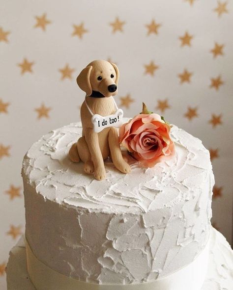 Dog Wedding Cake Topper - Unique way to incorporate your pet into your wedding day  #caketopper #dogwedding #dogs #puppylove Birthday Cat Cake, Golden Retriever Cake Topper, Wedding Cakes Dog, Wedding Cakes One Tier, Grooms Cake Toppers, Dog Wedding Cake Topper, Dog Wedding Cake, Wedding Cake Boxes, Dog Cake Topper Wedding