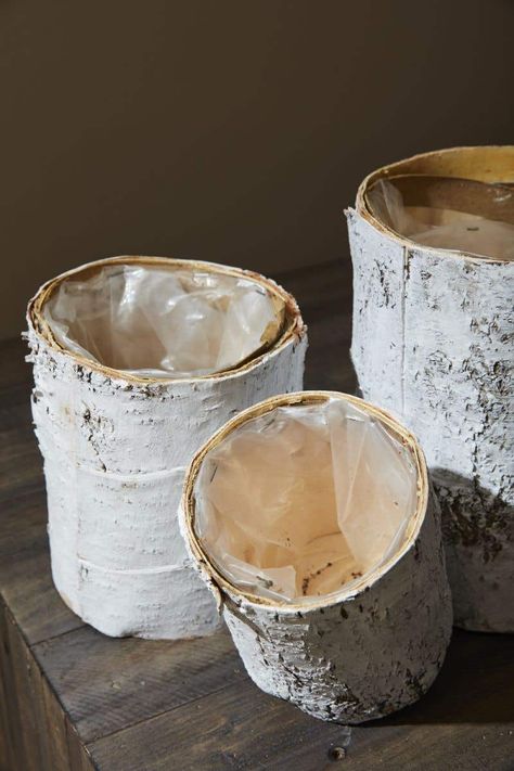 Search: 27 results found for "birch bark*" - Save-On-Crafts Birch Vase, Whitewash Paint, Birch Bark Crafts, Diy Wooden Crate, Tin Star, Baby Shower Woodland Theme, Church Events, White Birch, Cylinder Vase