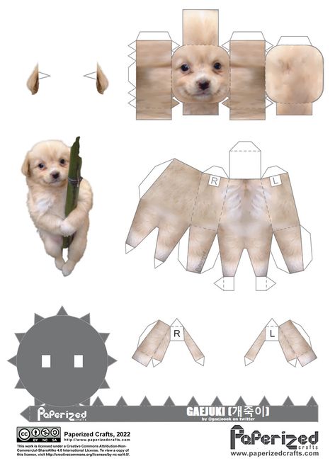 #gaejook #goldenretriever #edit #Gaejook(개죽이) Gaejook Dog, Dog Paper Craft, Papercraft Templates Printables, 3d Dog, Super Funny Pictures, Paper Toys Template, Post Animal, Giving Up On Life, Brush Drawing