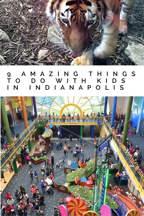 Indiana Vacation, Midwest Vacations, Spring Break Ideas, Break Ideas, Indiana Travel, Midwest Travel, Family Vacation Ideas, Family Weekend, Kids Vacation