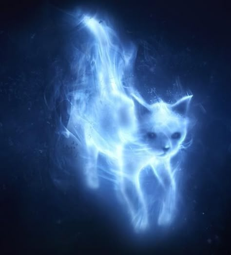 I got Cat! What's Your Patronus Based On Your Zodiac Sign? Remus Lupin Wolf, Remus Lupin Imagines, Remus Lupin Werewolf, Patronus Art, Patronus Tattoo, Quiz Harry Potter, Remus Lupin Fan Art, Harry Potter Witch, Dog Zodiac