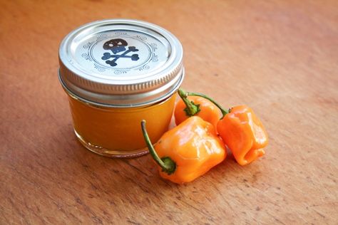 Habanero Recipes, Hot Pepper Recipes, Habanero Sauce, Homemade Hot Sauce, Rick Bayless, Habanero Hot Sauce, Homemade Sauce Recipes, Hot Sauce Recipes, Salsa Picante