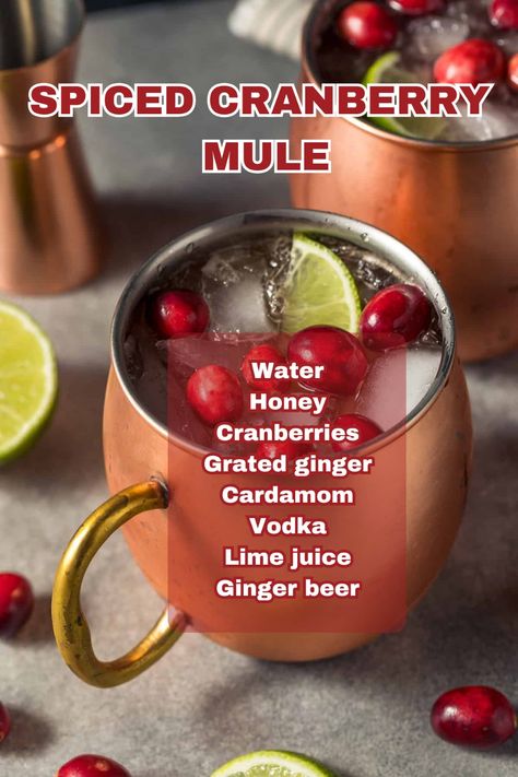 A warm mug of Spiced Rum Apple Cider, topped with cinnamon sticks and apple slices, set against a rustic fall background. Spiced Rum Apple Cider, Mule Drink Recipes, Rum Apple Cider, Cranberry Mule, Christmas Cocktails Vodka, Christmas Vodka, Best Christmas Cocktails, Mule Drink, Thanksgiving Cocktail Recipes