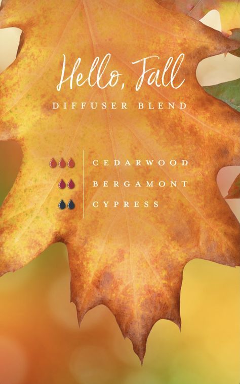 Fall Morning Diffuser Blend, Blue Cypress, Fall Essential Oils, Fall Diffuser Blends, Cypress Essential Oil, Homemade Goodies, Essential Oil Diffuser Blends Recipes, Young Living Essential Oils Recipes, Aroma Therapy