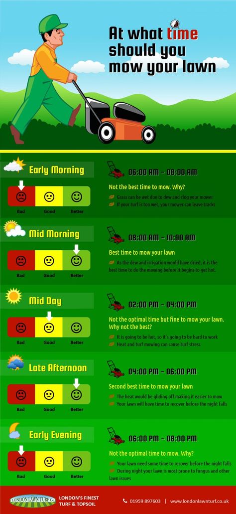 How To Mow Lawn Patterns, Lawn Maintenance Schedule, Mowing Business, Lawn Care Diy, Lawn Mowing Business, Gardening Infographic, Lawn Care Schedule, Lawn Care Business Cards, Garden Improvement