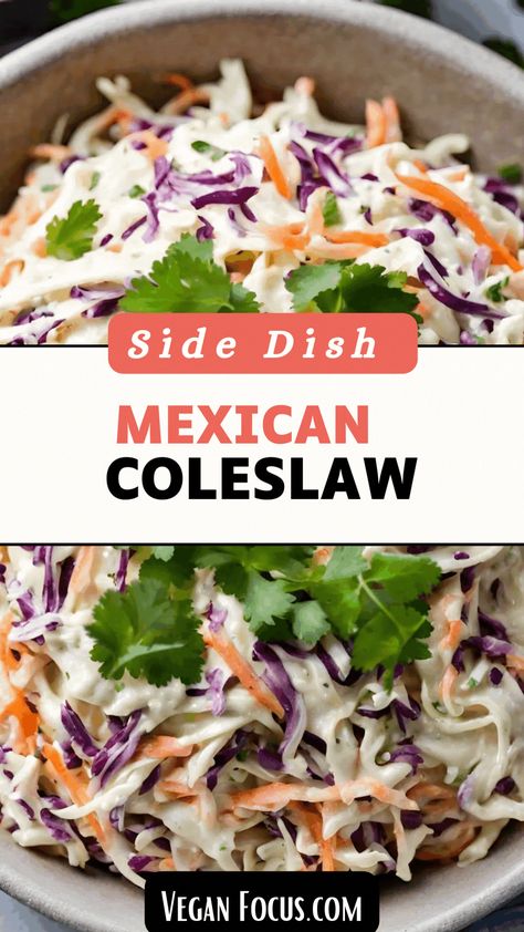 Easy vegan Mexican Chipotle Coleslaw is the perfect side dish for your gatherings and outdoor feasts. Packed with vibrant flavors with shredded green and red cabbage, carrots, green onion and cilantro, and zesty chipotle dressing. it’s a breeze to prepare and serves as a flavorful addition to picnics, potlucks, BBQs, tailgating parties, & other get-togethers. Whether you’re hosting a summer gathering or need a speedy dish for a dinner side, this coleslaw is a must-try. 
#vegancoleslaw #coleslaw Chipotle Coleslaw, Mexican Coleslaw, Chipotle Dressing, Types Of Cabbage, Vegan Coleslaw, Dinner Side, Vegan Sour Cream, Vegan Mayonnaise, Vegan Mexican