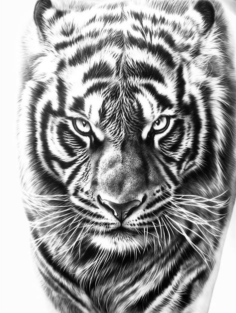 Dragon And Rose Tattoo, Realism Tiger Tattoo, Tiger Tattoo Stencil, Realism Tattoo Stencil, Realism Tattoo Design, Tiger Tattoo Designs, Tiger Stencil, Tiger Hand Tattoo, Tiger Face Tattoo