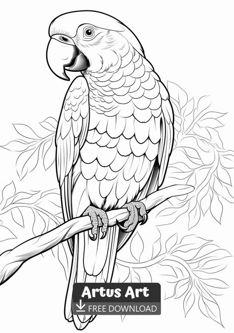 Macaw Parrot Coloring Page - Free PDF Download Coloring Page. #freedownload #macawparrotcoloringpage #macawparrot