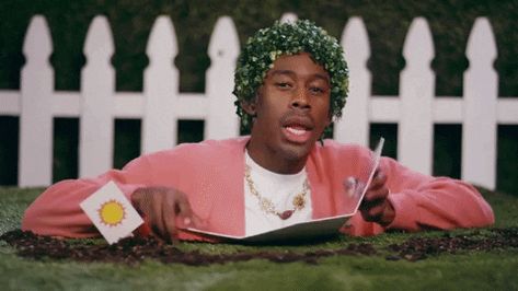 Tyler The Creator Wallpaper, Y2k Wallpaper, After The Storm, Tyler The Creator, Do Anything, Gif, The Creator