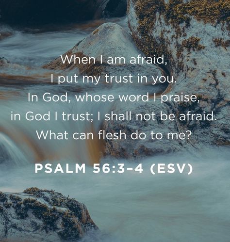 Psalm 56 3-4, In God I Trust, Psalm 56, Beautiful Bible Verses, Motivational Wallpaper, I Trust, Prayer Quotes, Read Bible, Christian Life