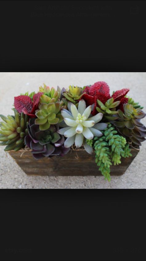 Faux Succulent Arrangements, Artificial Succulent Arrangements, Cactus Arrangement, Wood Box Centerpiece, Box Centerpiece, Diy Succulent Terrarium, Garden Centerpiece, Succulent Garden Indoor, Artificial Plants Indoor