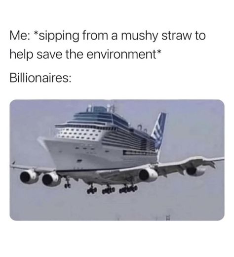 Thought this meme was quite funny and sad at the same time🙃 #meme #funny #environment #memesdaily #paperstraw #airplane #cruises Plane Memes, Awkward Pictures, Not Aesthetic, Why So Serious, Funny Pictures, Straw, Funny Memes, Web Design, In This Moment