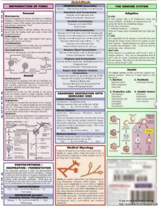 Bar charts quickstudy microbiology Medical Microbiology, Basic Chemistry, Microbiology Study, Medical Technologist, Microbiology Lab, Mcat Study, Learn Physics, Medical Lab, Pharmacy Books