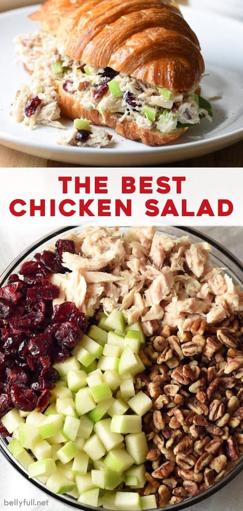 Chicken Salad Recipe With Cranberries, Recipe With Cranberries, The Best Chicken Salad, Salad Macaroni, Best Chicken Salad, Best Chicken Salad Recipe, Cranberry Chicken Salad, Chicken Salad Recipe Easy, Resep Salad