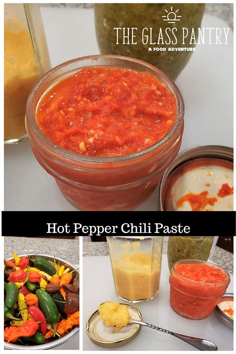 Hot Pepper Chili Paste | Fresh Chili Paste | Home Made Chili Paste | Hot Pepper Recipe | Chili Paste Recipe | The Glass Pantry A Food Adventure | Melisa Smith Pepper Paste Recipe, Home Made Chili, Chili Paste Recipe, Hot Pepper Recipes, Diy Foods, Basic Italian, Glass Pantry, Pepper Recipe, Pepper Paste