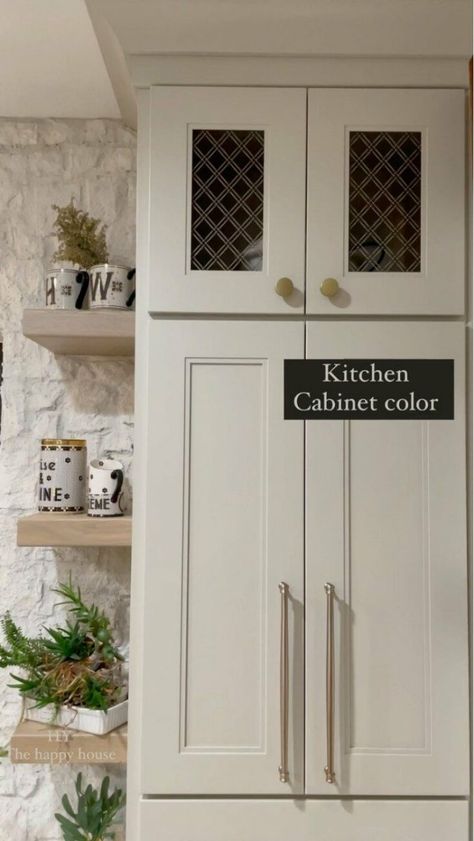 Shiitake Cabinets, Zircon Sherwin Williams, Sherwin Williams Shiitake, Sherwin Williams Cabinet Paint, Grey Stone Wall, Kitchen Cabinet Color, Cabin Remodel, Painted China Cabinets, Warm Paint Colors