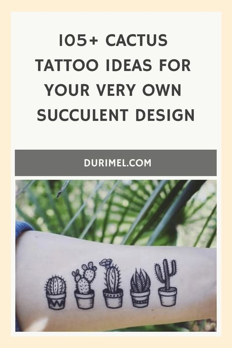 105+ Cactus Tattoo Ideas for Your Very Own Succulent Design Dainty Cactus Tattoo, Cactus Succulent Tattoo, Succulent Tattoo Small, Small Cactus Tattoo, Cactus Tattoo Ideas, Kinds Of Cactus, Succulent Tattoo, Succulent Design, Cactus Tattoo