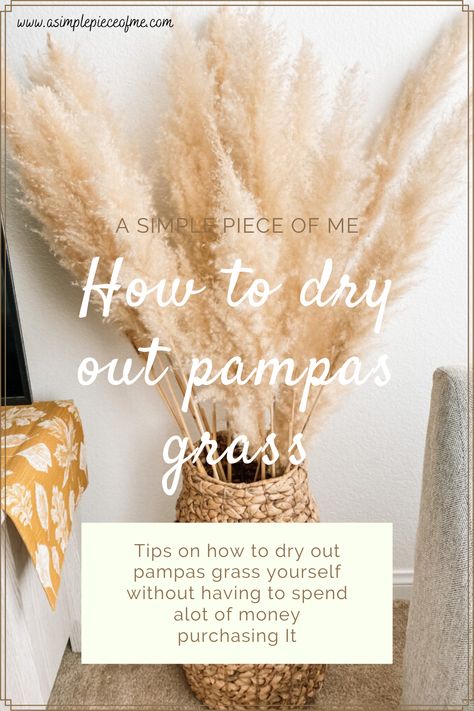 How To Dry Out Pampas Grass Dried Pompous Grass Decor, Bleaching Pampas Grass Diy, Pompus Grass Drying, Pampas’s Grass Arrangements, Pampas’s Grass Decor, Fall Decor Pampas, How To Dry Pompous, Christmas Pampas Grass Decor, How To Dry Out Pampas