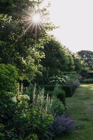 Acre Garden, Hydrangea Arborescens Annabelle, 18th Century Landscape, Hydrangea Arborescens, Manor Garden, Garden Magazine, Crabapple Tree, London Garden, Garden Designer