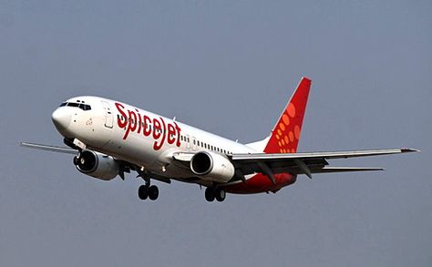 Spice Jet Spice Jet, Jet Airlines, Indian Travel, Travel In India, Wildlife Travel, India India, India Tour, Travel Articles, Boeing 737