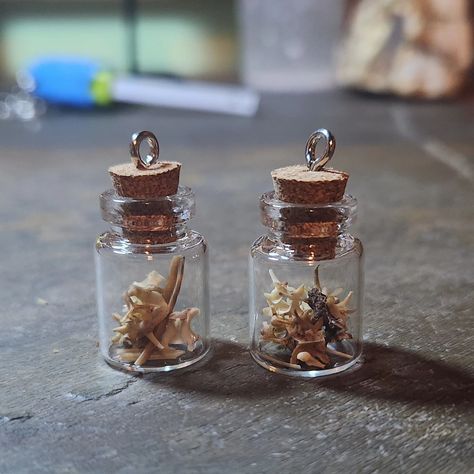 So many tiny jars!!! So many possibilities!!!! These filled jars are now available in the shop!!!! #smallbusiness #shop #tiny #tinyjar #necklace #art #rose #rattlesnake #bones #peacockore #boronite Peacock Ore, Tiny Jars, Lubbock Tx, Necklace Art, Bottle Charms, Necklace Chain, Rose Petals, Chains Necklace, Charm Necklace