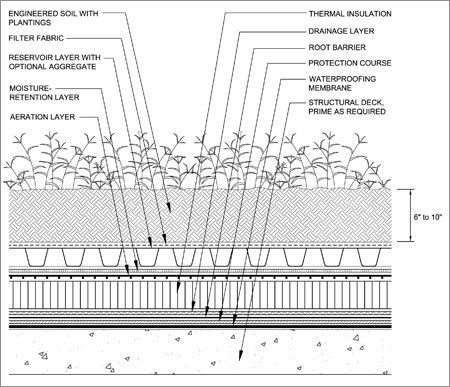 Green Roof Detail, Green Roof Architecture, Green Roof Construction Detail, Architecture Green Roof, Green Roof Landscape Architecture, Green Roof Structure, Roof Garden Detail Section, Green Roof Section, Green Roof Detail Section