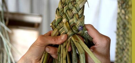 Rush Weaving, Rush Baskets, Plants In Baskets, Weaving Craft, Wire Crochet Jewelry, Big Basket, Willow Weaving, Nativity Crafts, Fiber Jewelry