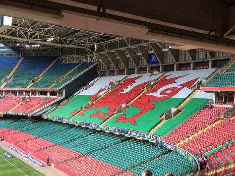 Welsh flag at millennium stadium Cardiff Principality Stadium Cardiff, Welsh Culture, Welsh Heritage, Northern Wales, 2024 Manifestation, Wales Flag, Welsh Flag, Welsh Rugby, Family Ancestry