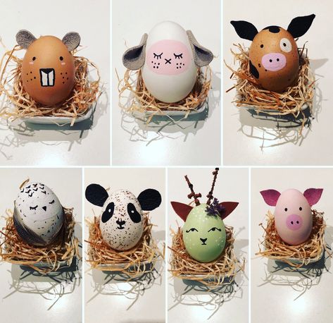 Easter Eggs Animals, Easter Egg Animals, Animal Easter Eggs, Easter Crafts Dollar Store, Easter Paper Crafts, Creative Easter Eggs, Easter Egg Art, Egg Shell Art, Diy Easter Gifts