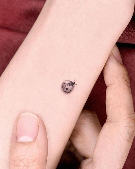 Daisy Ladybug Tattoo, Black And White Ladybug Tattoo, Fine Line Ladybug Tattoo, Simple Ladybug Tattoo, Dainty Ladybug Tattoo, Cute Ladybug Tattoo, Small Ladybug Tattoo, Mums Tattoo, Teardrop Tattoo