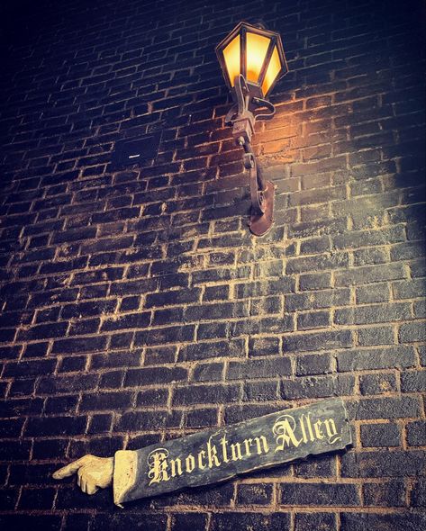 Knockturn Alley Aesthetic, White Wyvern, Knockturn Alley, Harry Potter Rpg, Movie Making, Brick Texture, Diagon Alley, Slytherin Aesthetic, Universal Studios Orlando