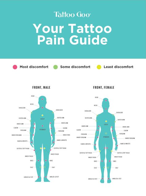 Ready to get your first tattoo but scared of the pain? Checkout this pain guide to learn what areas you may want to avoid on your first trip to the parlor. We know that pain can be different for everyone, so people with tattoos, what do you think about this chart? True for you? https://tattoogoo.com/a-pain-guide-for-getting-your-new-tattoo/ Best Place To Make Tattoo, Sensitive Tattoo Areas, Tattoo Placement Names Chart, Best Place On Body For Tattoo, Pain Scale For Tats, Different Type Of Tattoo Styles, Different Places To Get A Tattoo, Places To Do A Tattoo, What Are The Different Styles Of Tattoos