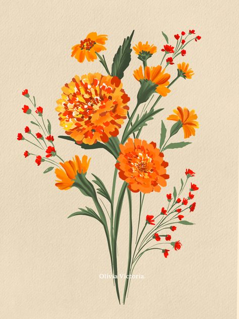 Marigold Flowers Drawing, Marigold Flower Illustration, Marigold Artwork, Marigolds Painting, Marigolds Drawing, Marigold Flower Painting, Flowers For August, Marigold Flower Drawing, Marigold Illustration