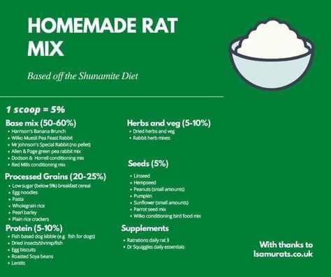 Homemade Rat Food, Rat Food, Vegan Dog Food, Rat Care, Fortified Cereals, Baby Rats, Dried Porcini Mushrooms, Dehydrated Vegetables, Green Lipped Mussel