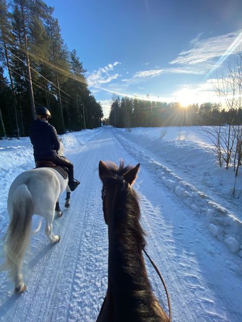 Snow Fireplace, Horseback Riding Aesthetic, Fireplace Aesthetic, Snow Horse, Horse Background, Horses In Snow, Horsey Life, Winter Horse, Equestrian Aesthetic