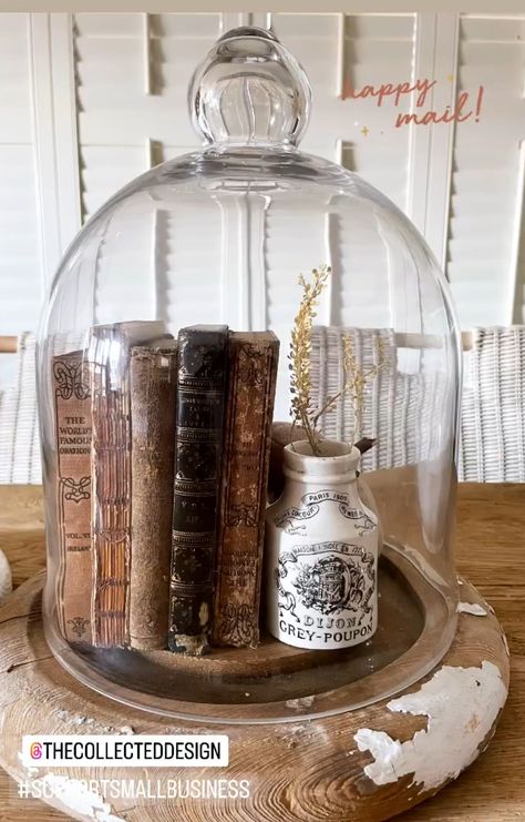 Cloche Ideas Halloween, Cloche Dome Ideas, Fall Cloche Ideas Glass Domes, Christmas Cloche, Diy Cloche Ideas, Fall Cloche Ideas, Cloche Ideas, Cloches Decor Ideas, Bell Jar Decor