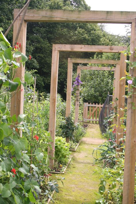 Kitchen Garden Layout, Outdoor Kitchen Garden, Funny Vine, Indoor Ideas, Indoor Outdoor Kitchen, Vertical Vegetable Garden, Garden Layout Vegetable, Building A Raised Garden, Vegetable Garden Planning