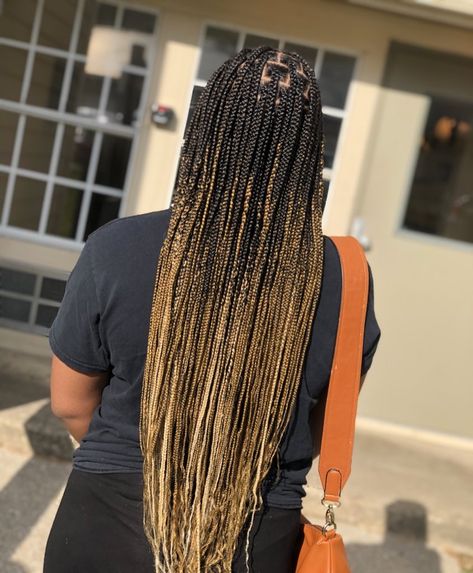 @DesDidMyHair blonde highlights + ombre medium knotless braids Twist Braids Hairstyles Senegalese, Black Roots Blonde Hair, Twist Braids Hairstyles, Black And Blonde Ombre, Ombre Braids, Ombre Box Braids, Medium Knotless, Knotless Braid, Black Box Braids