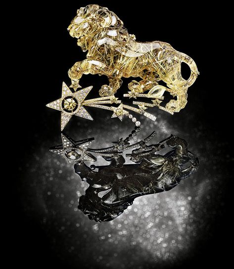 CHANEL. “Constellation du Lion” brooch #Chanel #ChanelJoaillerie #SousLeSigneDuLion #2013 #FineJewelry #HighJewellery #HauteJoaillerie #Diamond #ColoredDiamond Lion Jewellery, Star Diamond Necklace, Lion Brooch, Chanel 2015, Diamond Star Necklace, Hand Photography, Fashionable Accessories, Model Shoes, Gold Lion