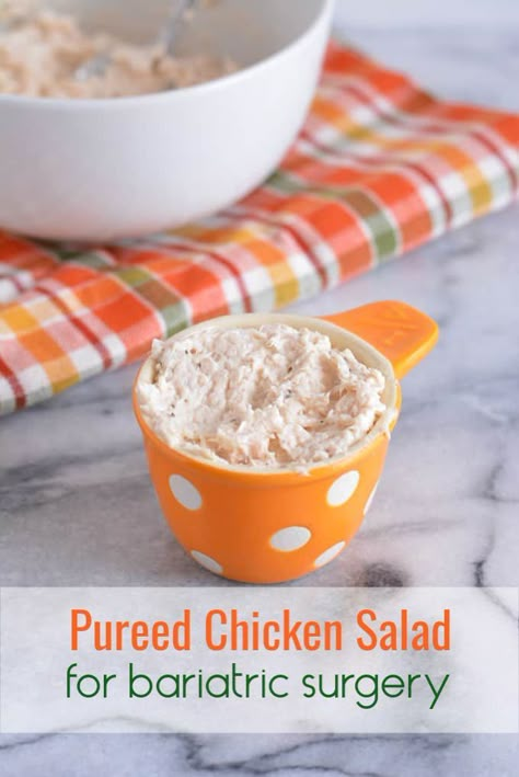 Purred Foods, Pureed Chicken, Sleeve Meals, Bariatric Recipes Sleeve Liquid Diet, Pureed Diet, Bariatric Recipes Sleeve, Pureed Food, Gastric Bypass Recipes, Vsg Recipes