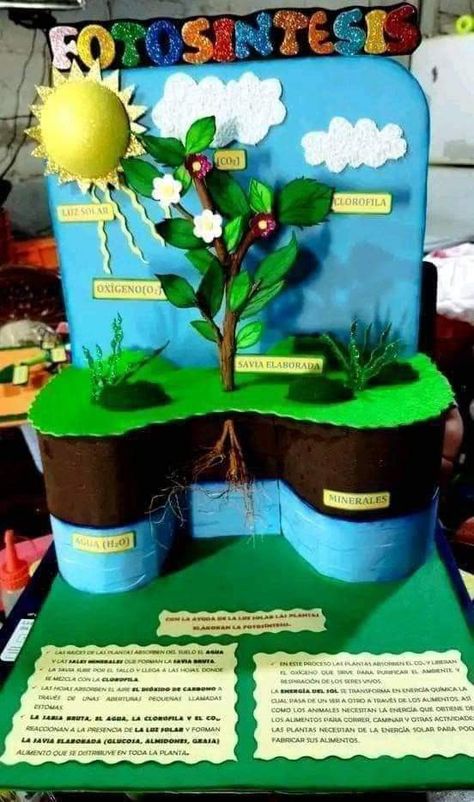 3d Photosynthesis Project, Photosintesis Project, Photosynthesis Model Project, Photosynthesis Projects, Science Project Models, Science Exhibition Projects, School Science Projects, Biology Projects, Diy Paper Flowers