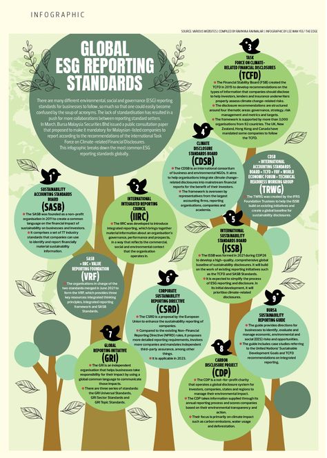 Global ESG reporting standards Environmental Consulting, Environmental Consultant, Sustainability Consulting, Sustainability Report, Mini Project, Sustainable Supply Chain, Green Tech, Green Business, The Soup